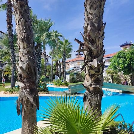 Sunny Apartment Costa Blanca Ла Мата Екстериор снимка